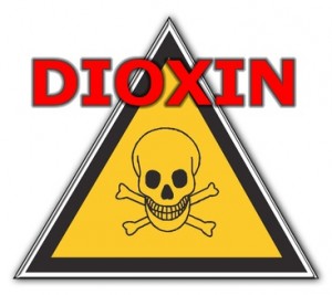 Dioxin ein tägliches Gift